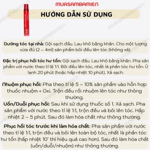 Duong Toc Phuc hoi hu ton PROTEIN 1