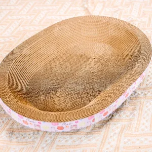 ban cao mong Elip 3