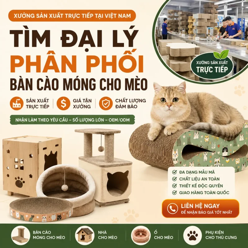 ChatGPT Image 11 16 16 14 thg 7 2026